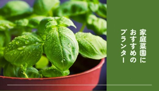 ベランダ菜園向け！おしゃれなプランターとおすすめしない鉢の種類