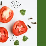 トマトの種まきを詳しく解説