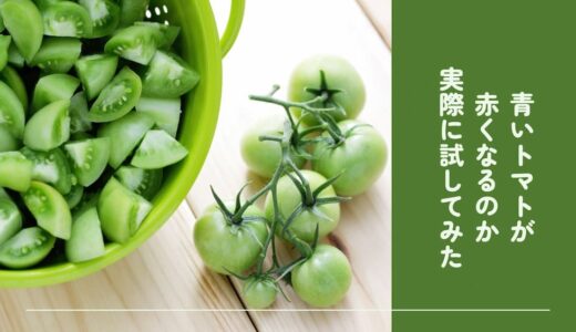 青いトマトを赤くする４つの実験！失敗談と成功例を写真付きでご紹介